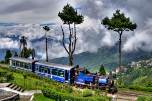 Darjeeling1