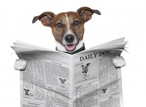 dog-reading-newspaper-top-five-most-read-300x221